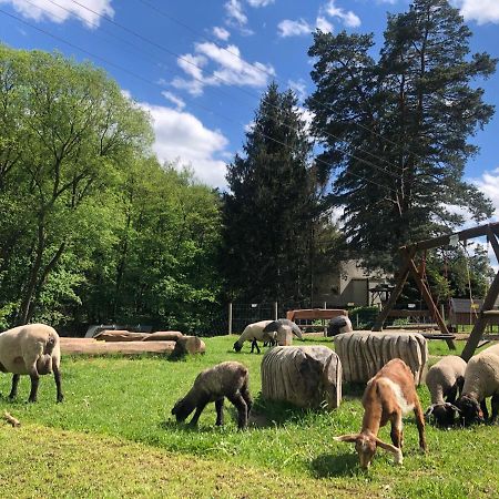 فندق Kamenacka Myslivna Moravany  المظهر الخارجي الصورة